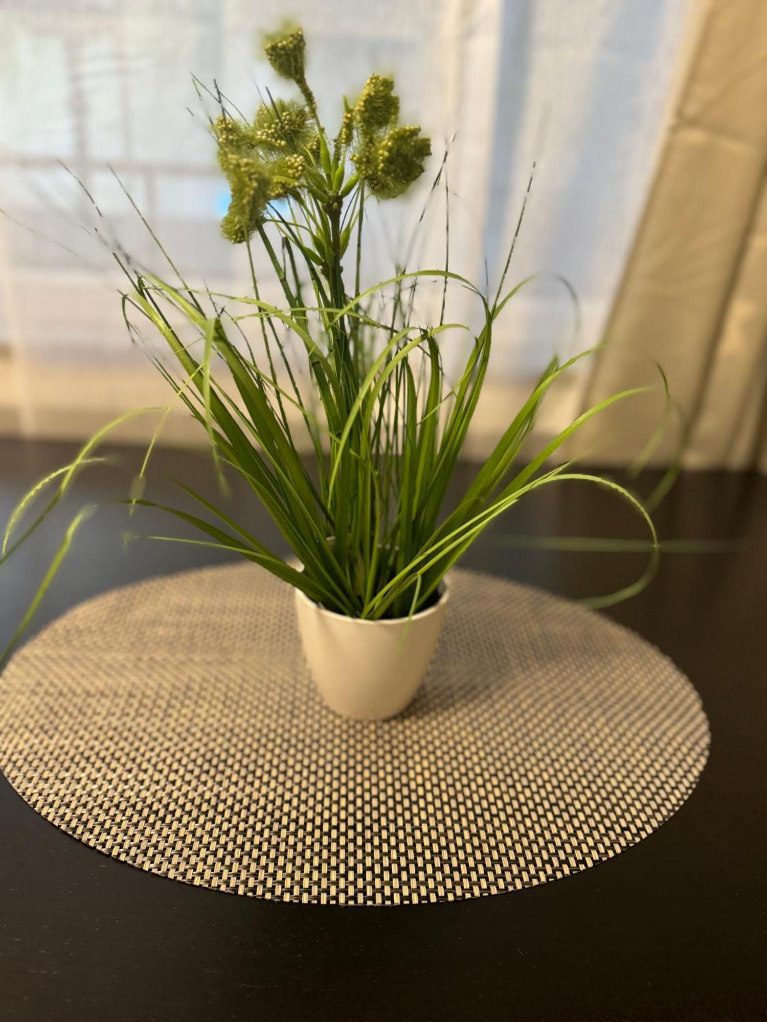 M&Bluxux Apartaments كريفيلد المظهر الخارجي الصورة